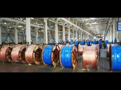 কর্মশালা4